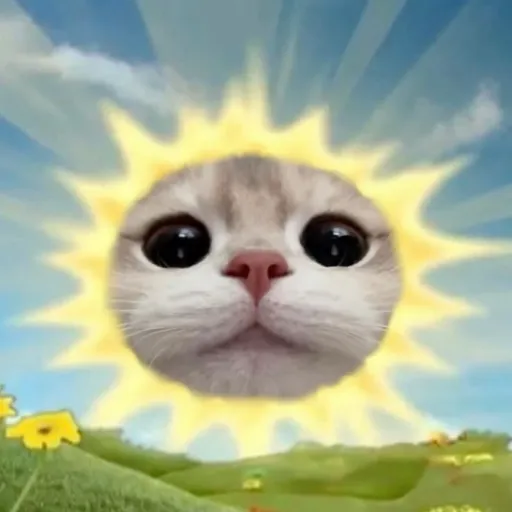 creator sᴏʏᴀᴀ🚭's avatar