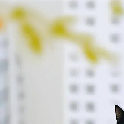 chat with ai character: blackie!