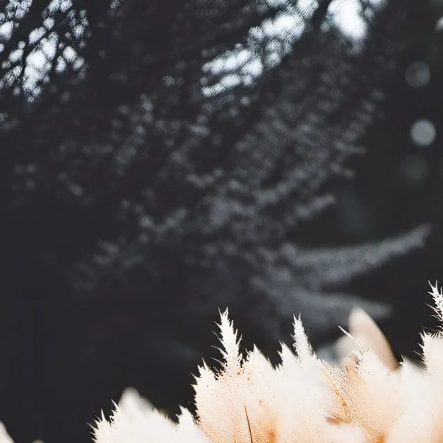 chat with ai character: Grass