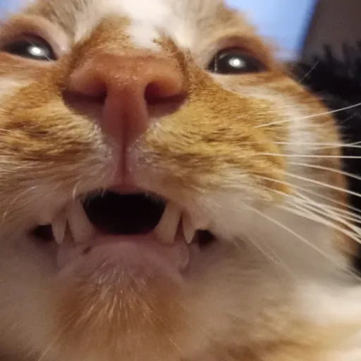 creator EmmaTheTherian's avatar