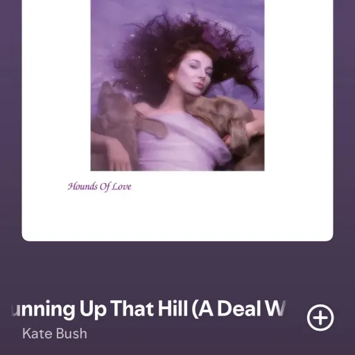 creator Megan MAYFIELD's avatar