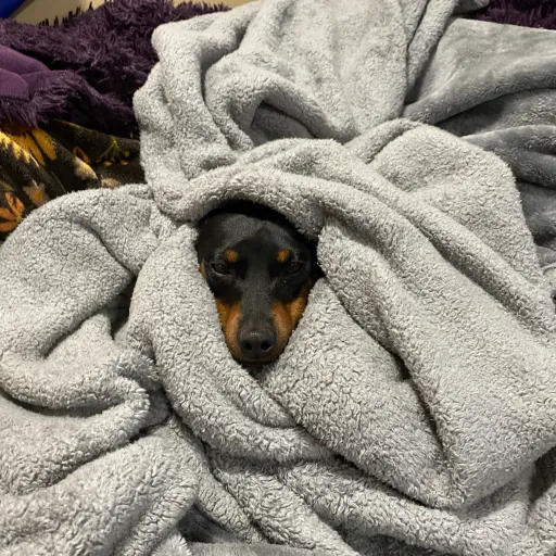 creator KAMY-ATE AND LEFT's avatar