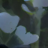 chat with ai character: Emmy