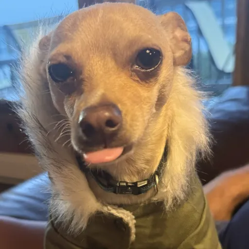 creator Arwen185's avatar