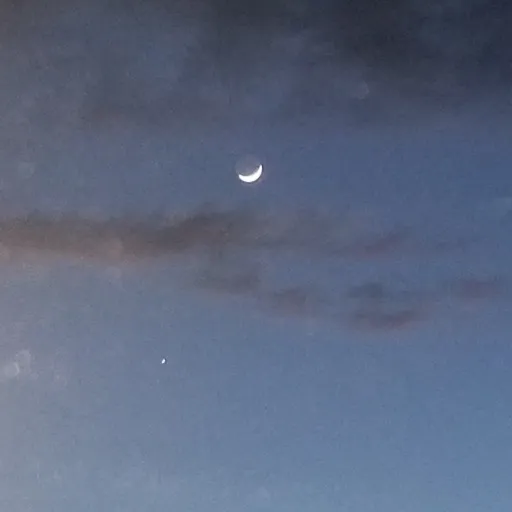 creator ★†Aspen†★'s avatar