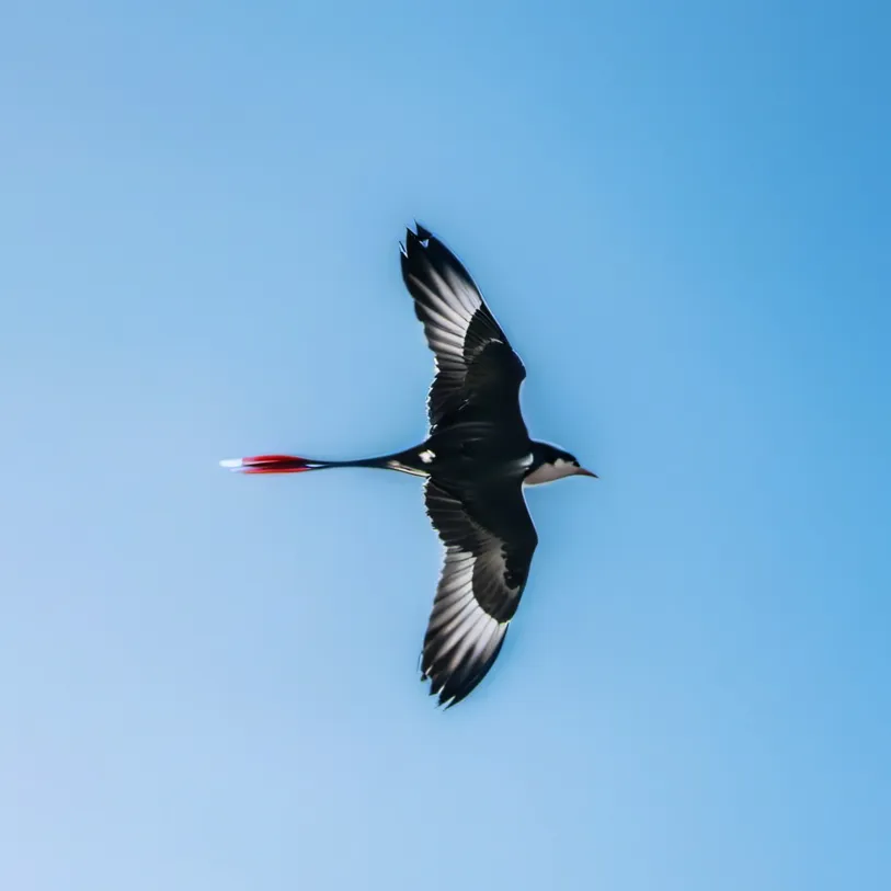 chat with ai character: Hannah