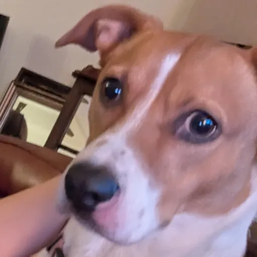 creator Cameron⚽'s avatar