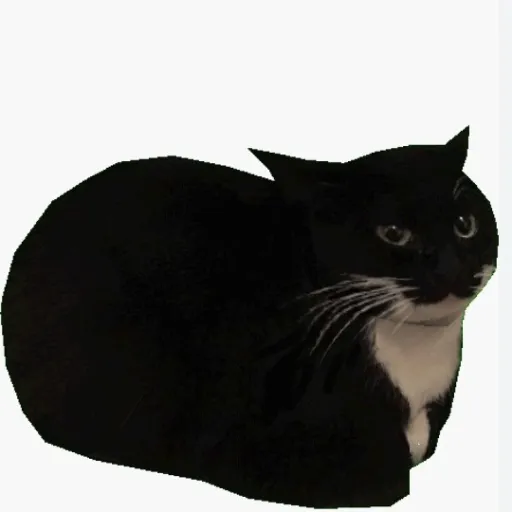 creator Hunter Wolfie's avatar