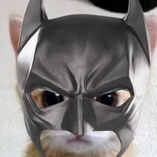 creator batmancat's avatar
