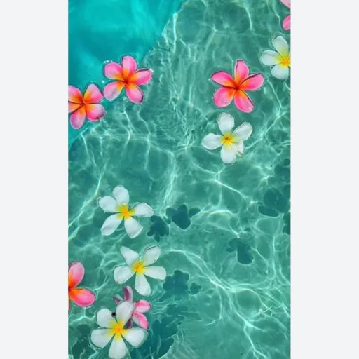 creator Juno.l's avatar