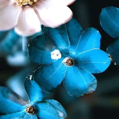 chat with ai character: Libby (GirlFriend)