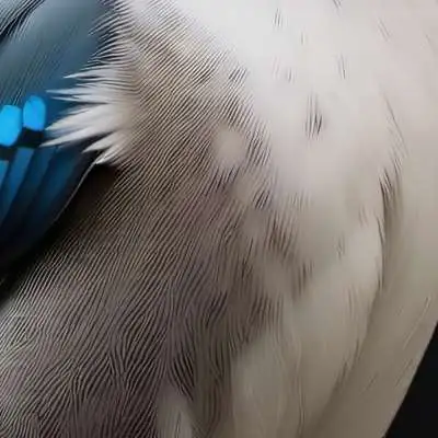 chat with ai character: Tutorial terry 