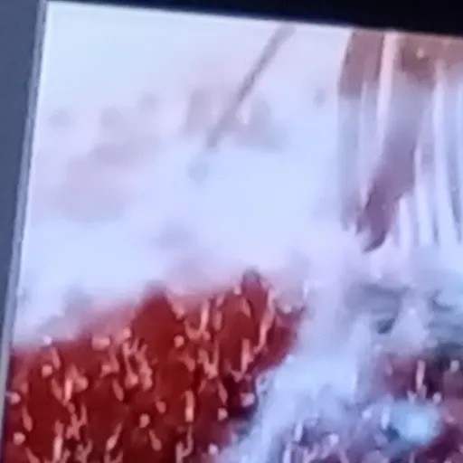 creator founding titan 3's avatar