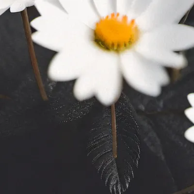 chat with ai character: HH school ☆