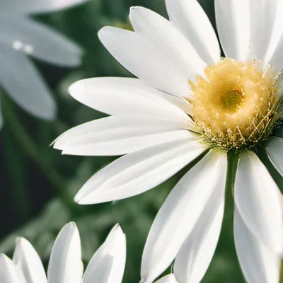 chat with ai character: HH ice skating ☆