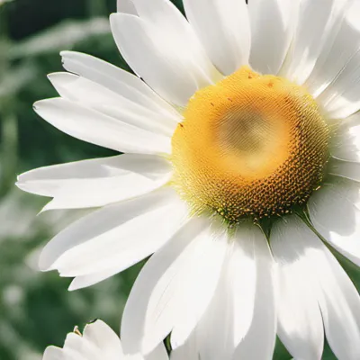 chat with ai character: HH sleepover ☆