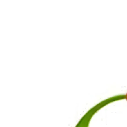 chat with ai character: white pikmin