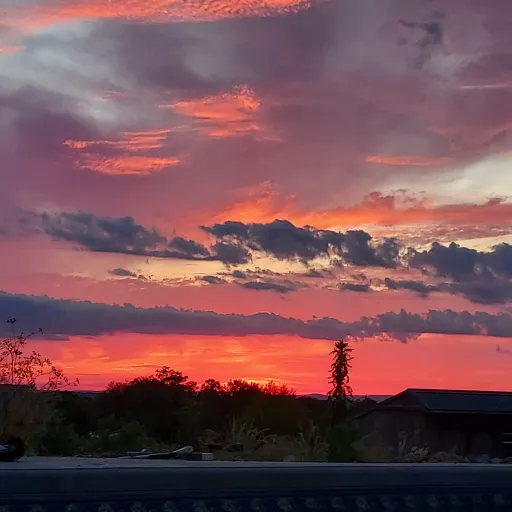 creator ItsSarah⌛️'s avatar