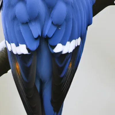 chat with ai character: No