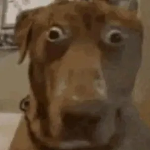 creator Ya daddy's avatar