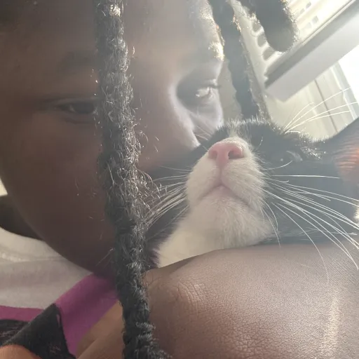 creator Talkior-LCtK7NdL's avatar