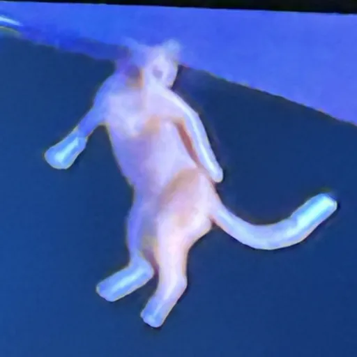 creator Rizzler. (*≧▽≦)'s avatar