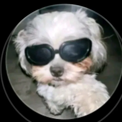 creator Tay panda's avatar