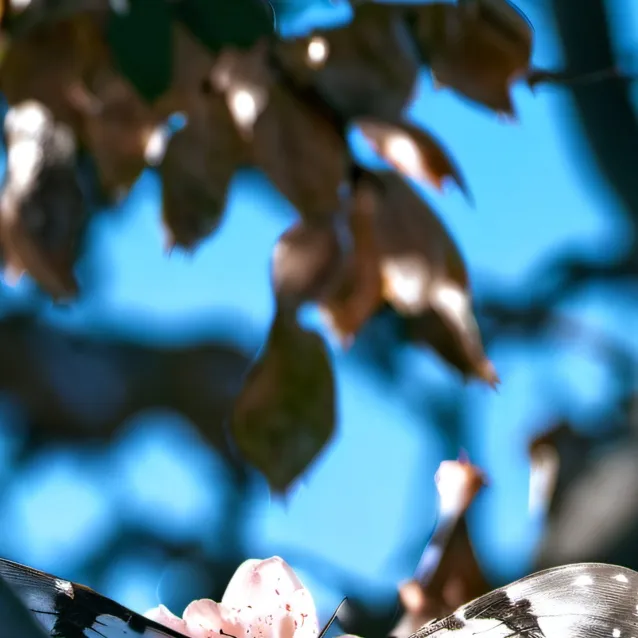 chat with ai character: Ellie