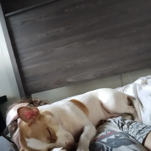 creator KATSEYE fan<3's avatar