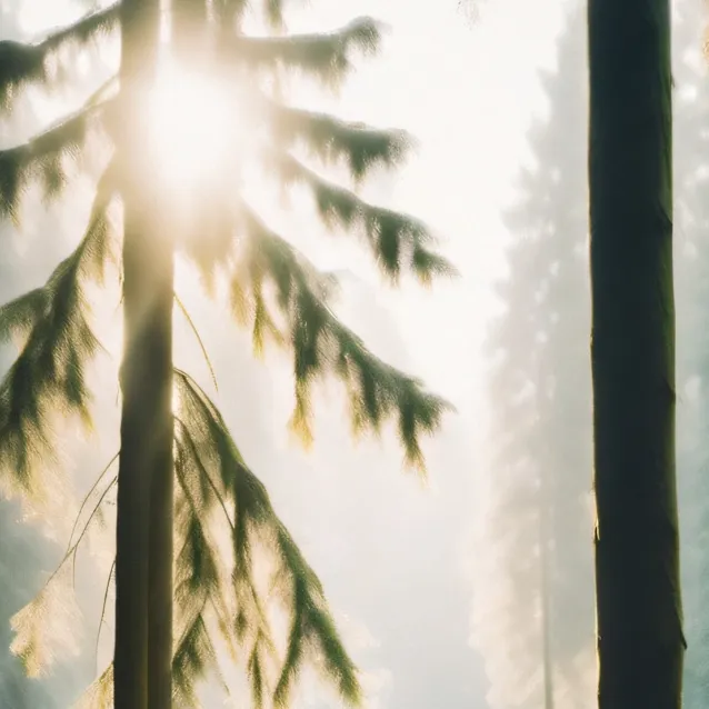 chat with ai character: Jjk Mha Ds Aot Op 