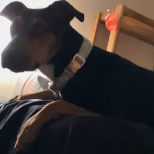 creator ★♡Lola☆♥︎'s avatar