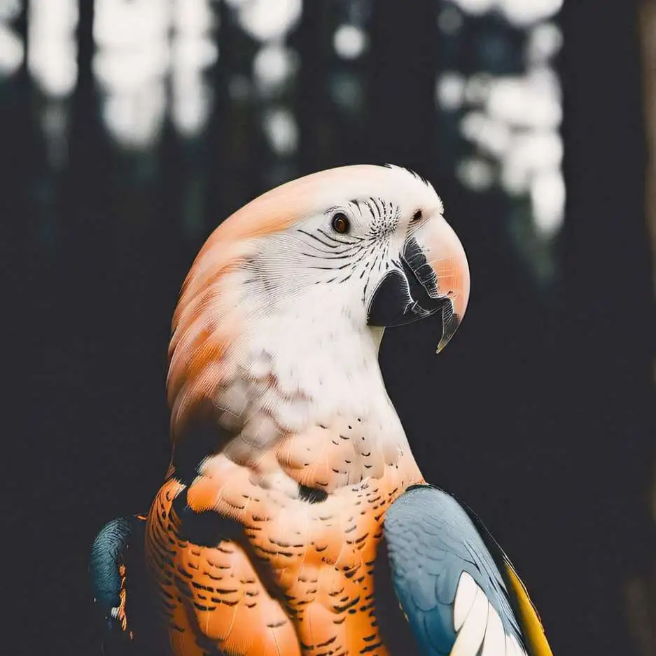 chat with ai character: Talker the Parrot