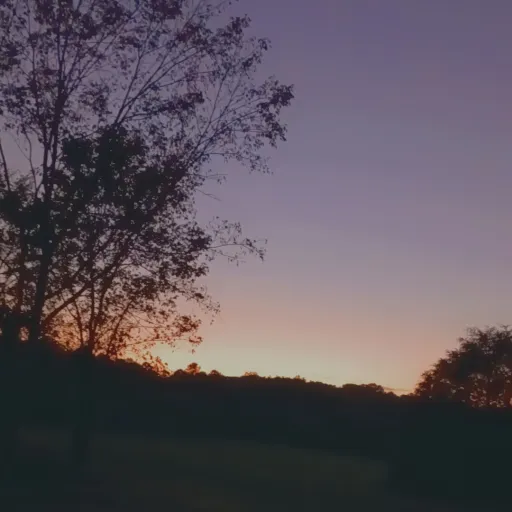 creator Ivyyyyyy98's avatar