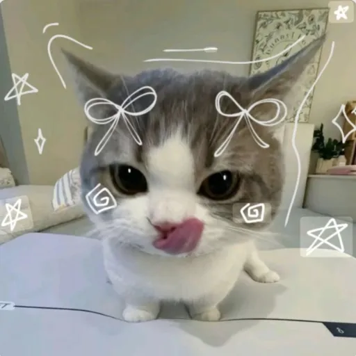 creator Millie 🥐˃̵ ֊ ˂̵🍤's avatar