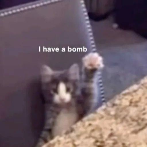 creator ☆-!V1v14n!-☆'s avatar