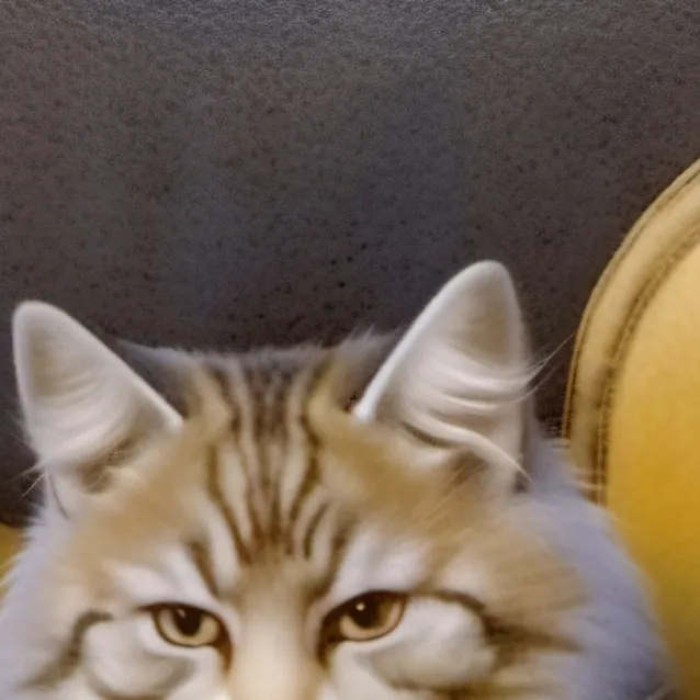 chat with ai character: Joey