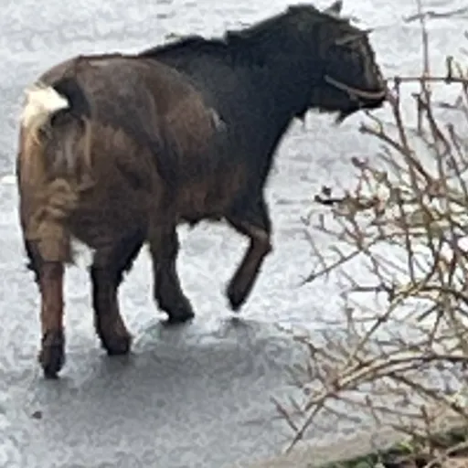 creator Clara 113245789's avatar