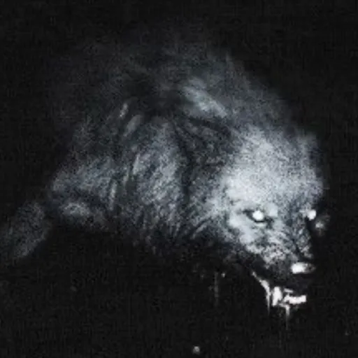 creator murderdrone lover's avatar