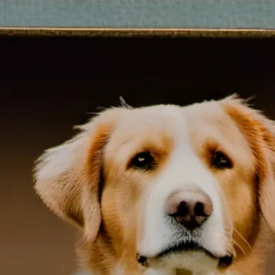 chat with ai character: Beagle dog