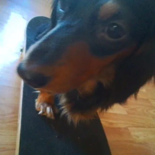 creator Leahmwhite's avatar