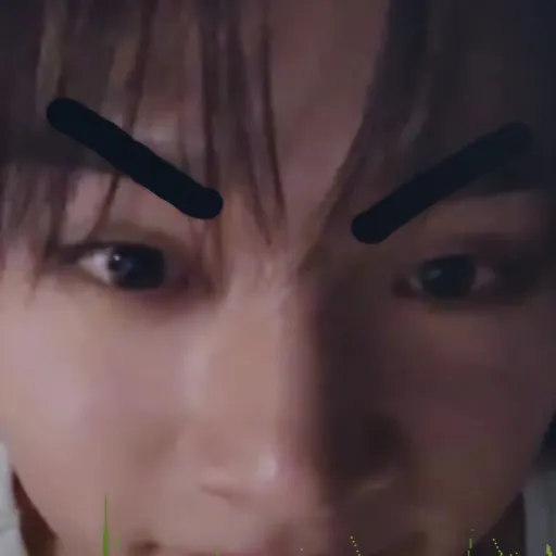 creator Skzfann🐺🐶🐱🐹🐰🦊🐣🐿's avatar