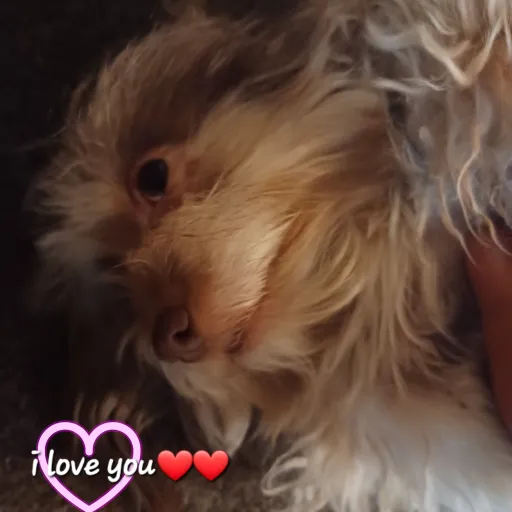 creator y/n56392's avatar