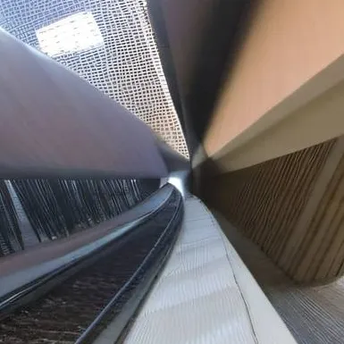 chat with ai character: Auto dragon