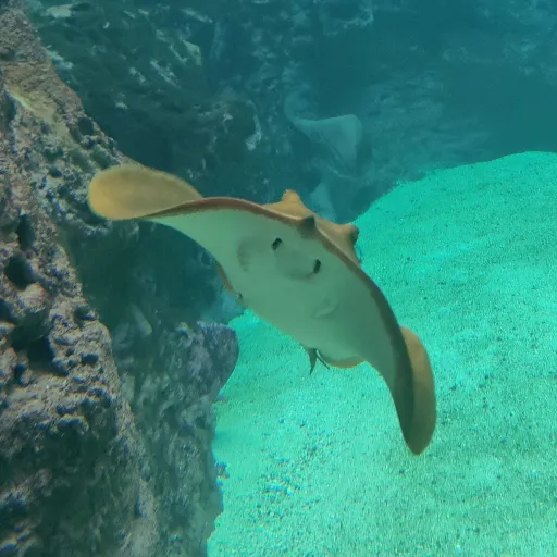 creator IronGi's avatar