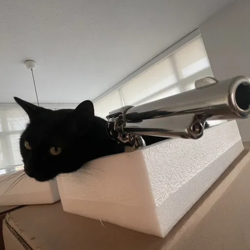 talkie's author avatar