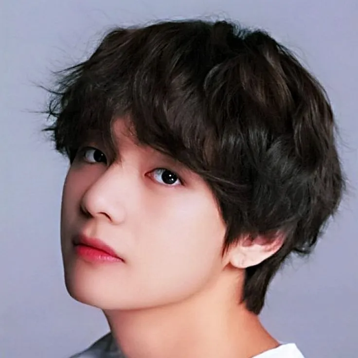 chat with ai character: Kim Tae-hyung (V)