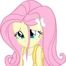 chat with ai character: Fluttershy
