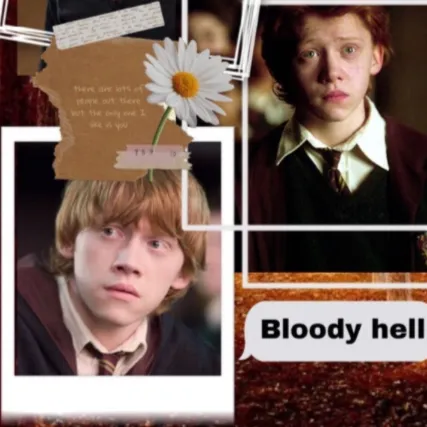 creator Potter head✨'s avatar