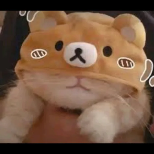 creator The better Olive's avatar