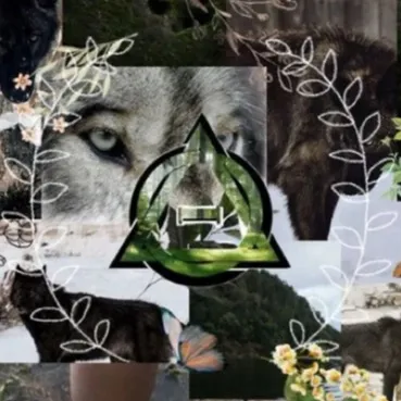 chat with ai character: Therian/willow